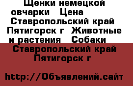 Щенки немецкой овчарки › Цена ­ 6 000 - Ставропольский край, Пятигорск г. Животные и растения » Собаки   . Ставропольский край,Пятигорск г.